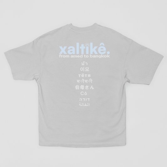 Graues Xaltike T-Shirt mit großem Backprint und internationalen Schriftzeichen, inspiriert von kurdischer Kultur.